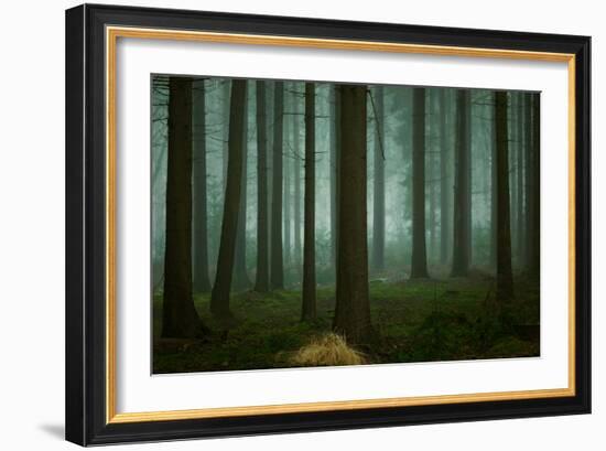 The Cold, Dark Days of Winter-Ellen Borggreve-Framed Giclee Print