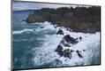 Premium Photographic Print
