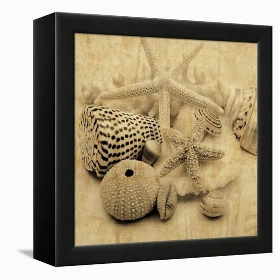 The Collection I-John Seba-Framed Stretched Canvas