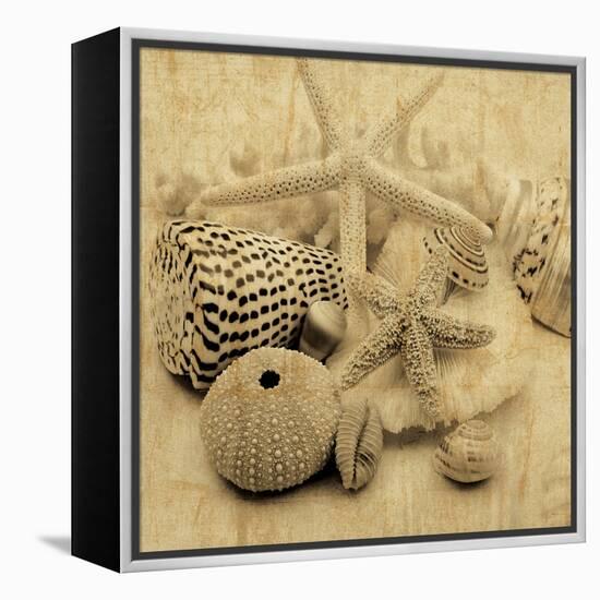 The Collection I-John Seba-Framed Stretched Canvas