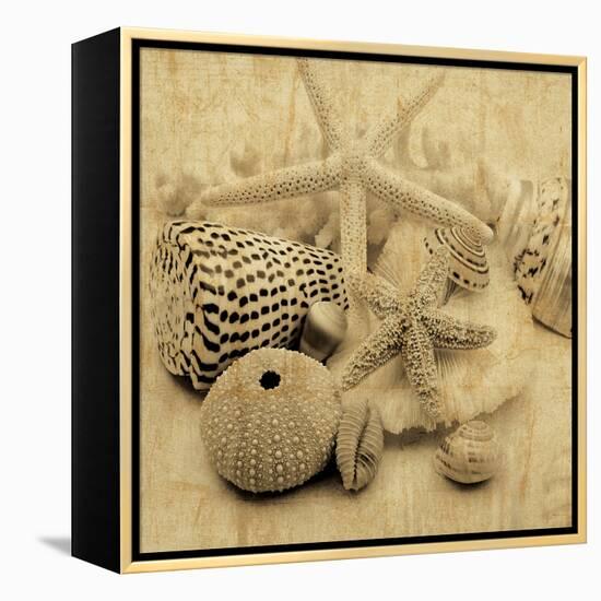 The Collection I-John Seba-Framed Stretched Canvas