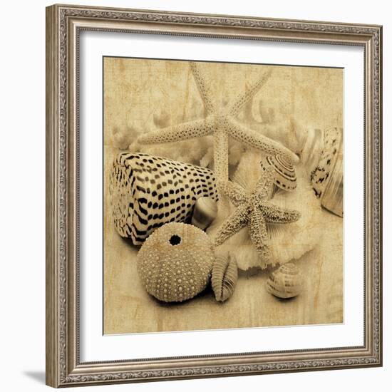 The Collection I-John Seba-Framed Photo