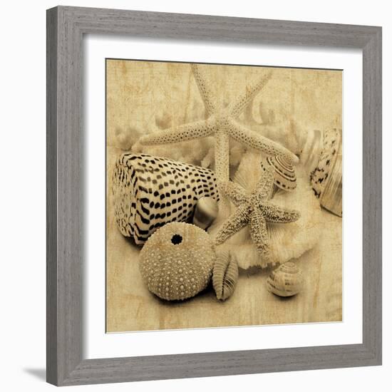 The Collection I-John Seba-Framed Photo