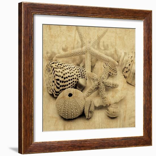 The Collection I-John Seba-Framed Photo