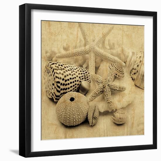 The Collection I-John Seba-Framed Photo