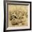 The Collection I-John Seba-Framed Photo