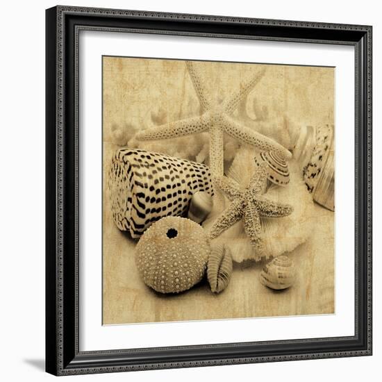 The Collection I-John Seba-Framed Photo