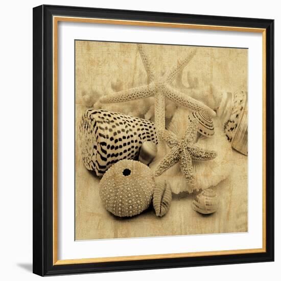 The Collection I-John Seba-Framed Photo