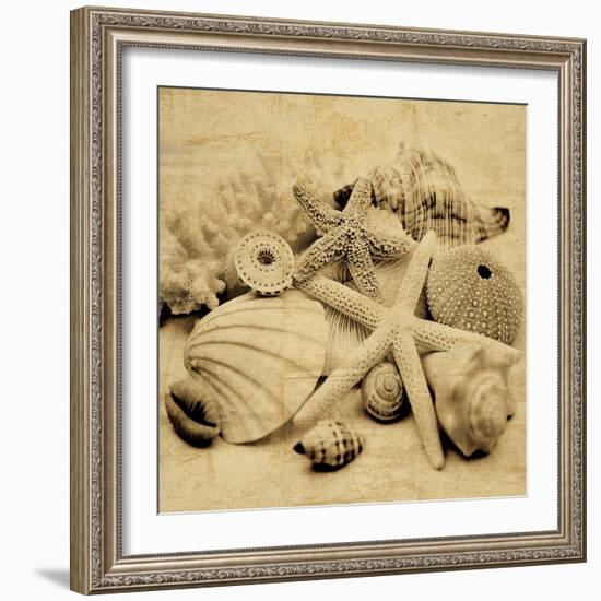 The Collection II-John Seba-Framed Photo