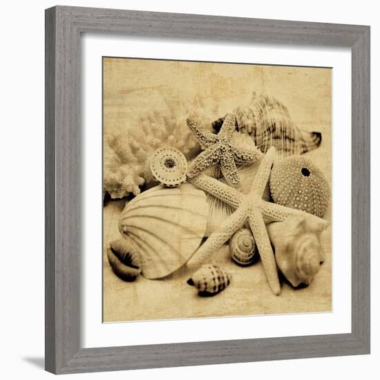 The Collection II-John Seba-Framed Photo