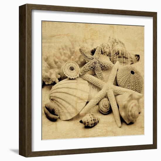 The Collection II-John Seba-Framed Photo