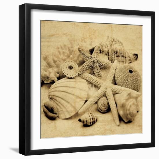 The Collection II-John Seba-Framed Photo