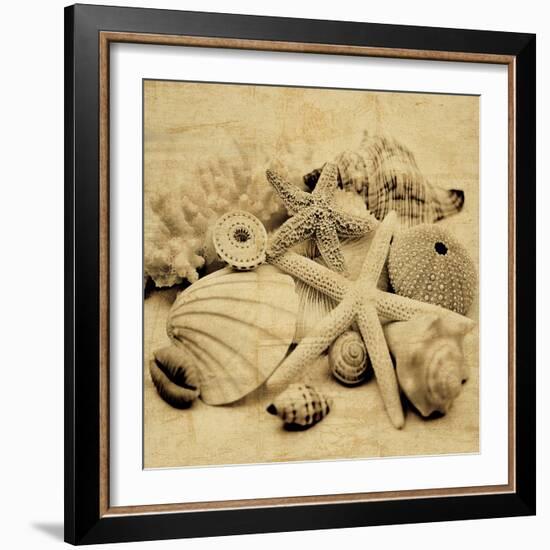 The Collection II-John Seba-Framed Photo