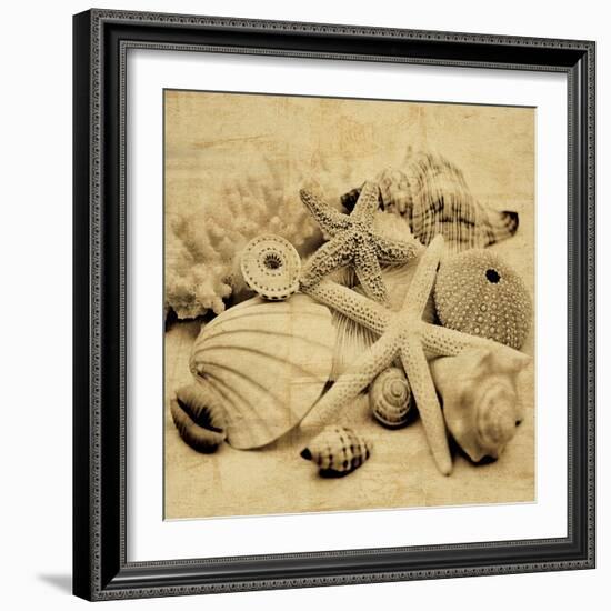 The Collection II-John Seba-Framed Photo