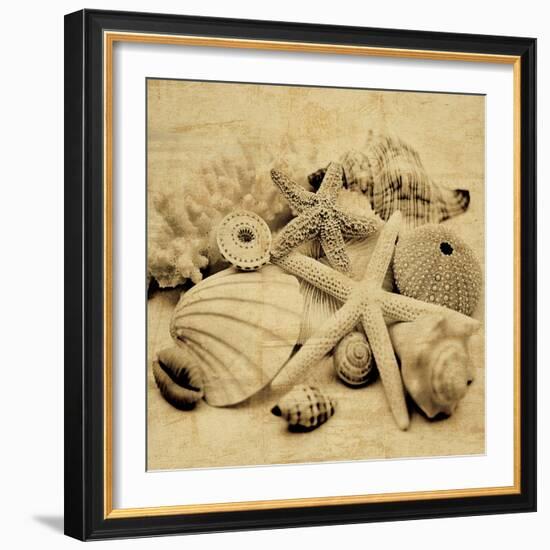 The Collection II-John Seba-Framed Photo