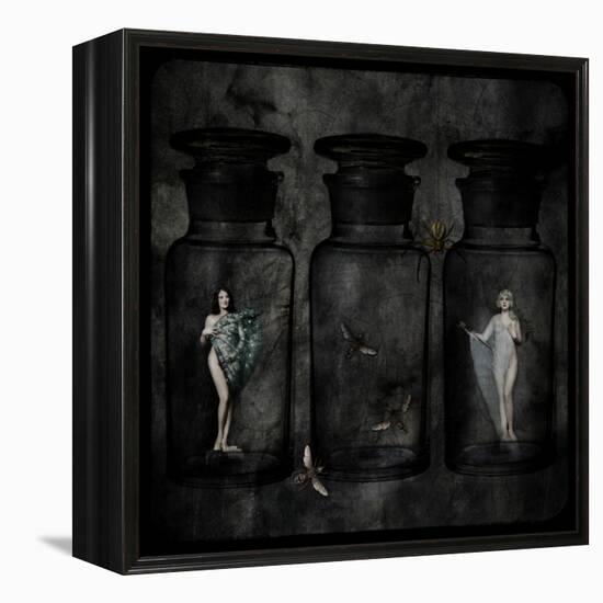 The Collector-Lydia Marano-Framed Premier Image Canvas