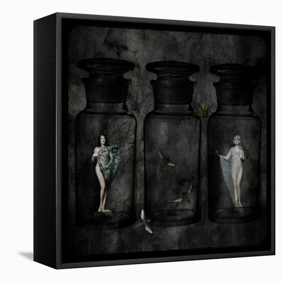 The Collector-Lydia Marano-Framed Premier Image Canvas