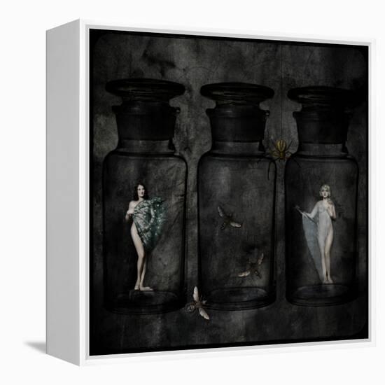 The Collector-Lydia Marano-Framed Premier Image Canvas