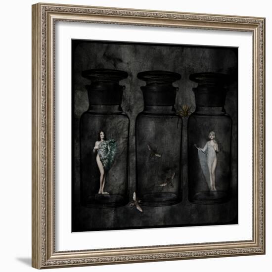 The Collector-Lydia Marano-Framed Photographic Print