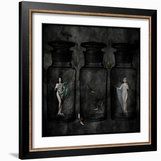 The Collector-Lydia Marano-Framed Photographic Print