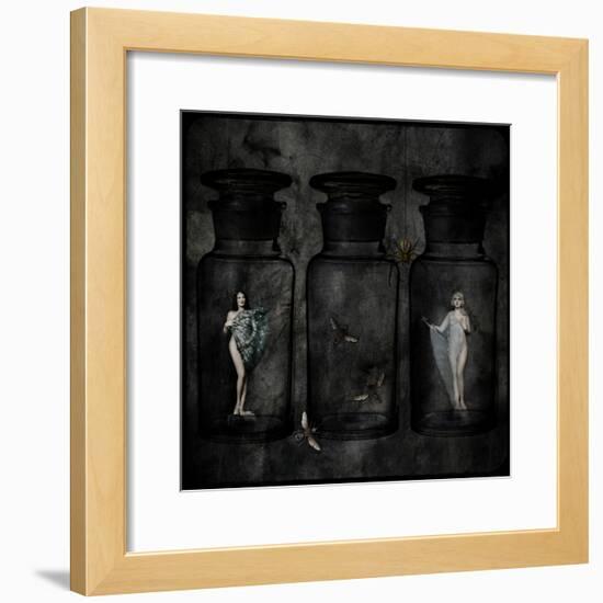 The Collector-Lydia Marano-Framed Photographic Print