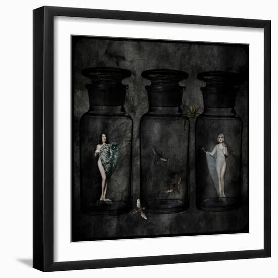 The Collector-Lydia Marano-Framed Photographic Print