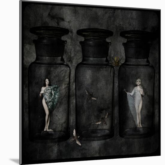 The Collector-Lydia Marano-Mounted Photographic Print