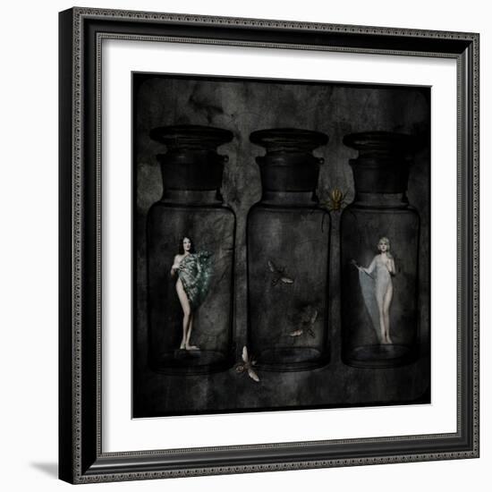 The Collector-Lydia Marano-Framed Photographic Print