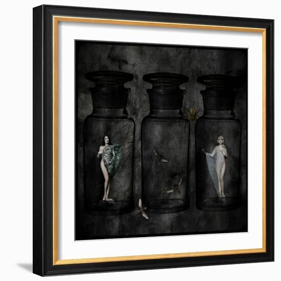 The Collector-Lydia Marano-Framed Photographic Print