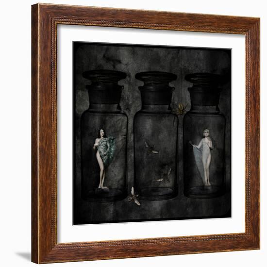 The Collector-Lydia Marano-Framed Premium Photographic Print