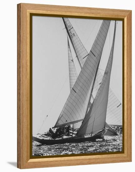 The Colombia and Nefertiti During Trial Race For the America's Cup-George Silk-Framed Premier Image Canvas