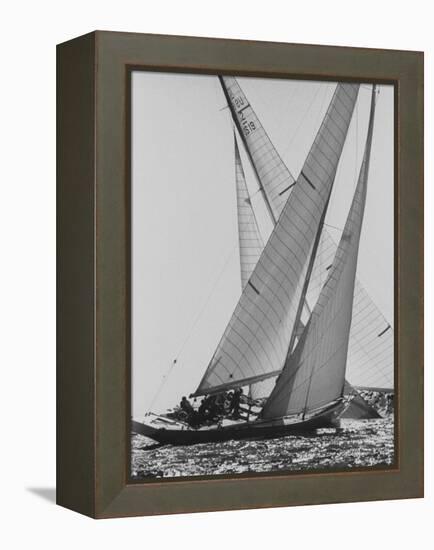 The Colombia and Nefertiti During Trial Race For the America's Cup-George Silk-Framed Premier Image Canvas