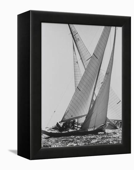 The Colombia and Nefertiti During Trial Race For the America's Cup-George Silk-Framed Premier Image Canvas