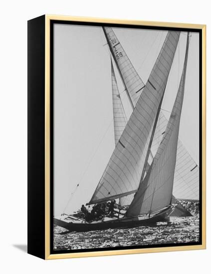 The Colombia and Nefertiti During Trial Race For the America's Cup-George Silk-Framed Premier Image Canvas