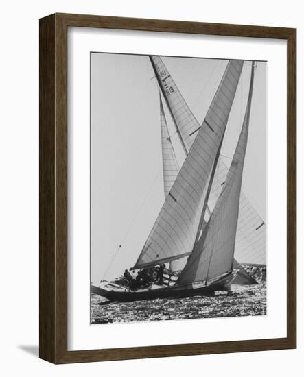 The Colombia and Nefertiti During Trial Race For the America's Cup-George Silk-Framed Photographic Print