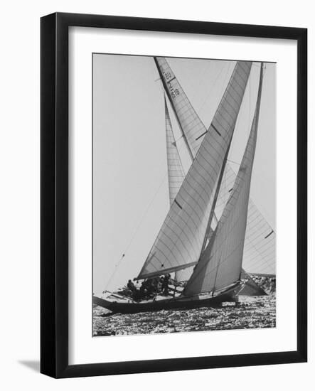 The Colombia and Nefertiti During Trial Race For the America's Cup-George Silk-Framed Photographic Print