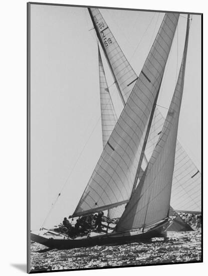 The Colombia and Nefertiti During Trial Race For the America's Cup-George Silk-Mounted Photographic Print