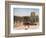 The Colonnade of Amenhotep III, Temple of Luxor, Egypt, 20th Century-null-Framed Giclee Print