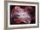 The Colorful Demise of a Sun-like Star Space Photo-null-Framed Premium Giclee Print