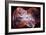 The Colorful Demise of a Sun-like Star Space Photo-null-Framed Premium Giclee Print