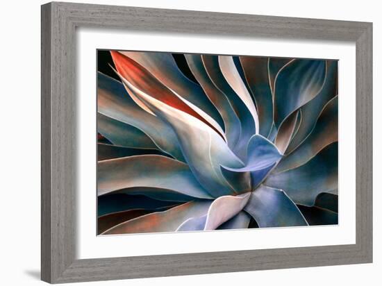 The Colors in Leaves-Robin Wechsler-Framed Giclee Print