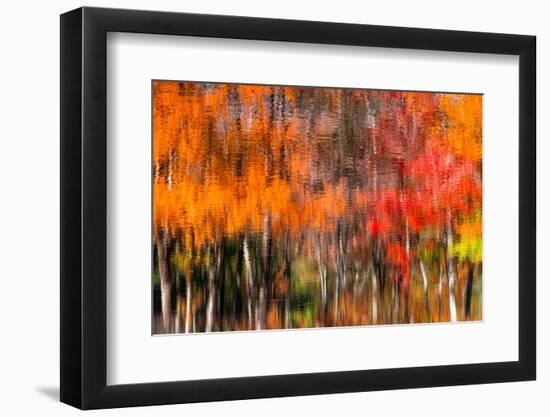 The colors melt-Marco Carmassi-Framed Photographic Print