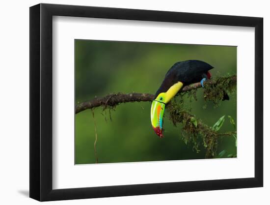 The Colors of Costa Rica-Fabio Ferretto-Framed Photographic Print