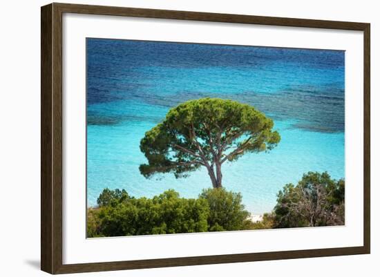 The Colors of Palombaggia-Philippe Sainte-Laudy-Framed Photographic Print