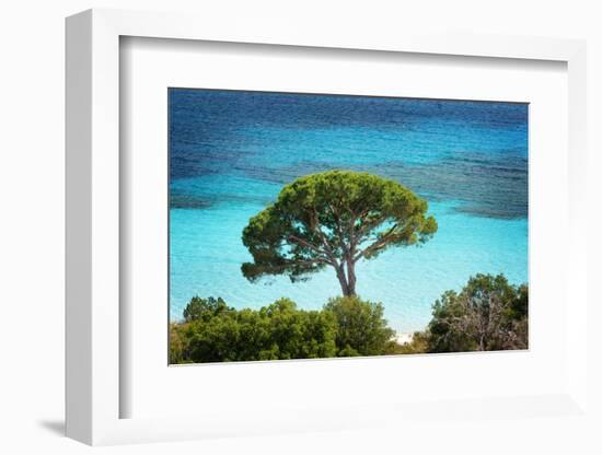 The Colors of Palombaggia-Philippe Sainte-Laudy-Framed Photographic Print