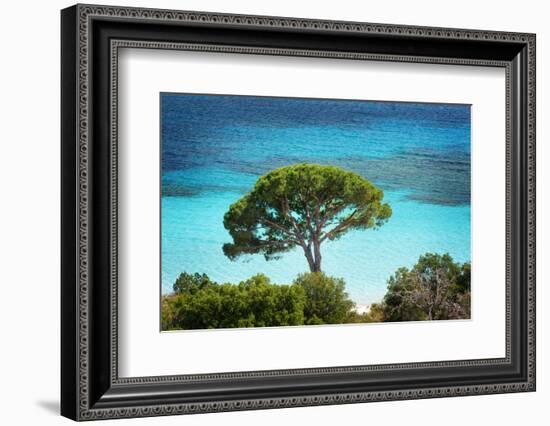 The Colors of Palombaggia-Philippe Sainte-Laudy-Framed Photographic Print