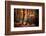 The Colors of the Woods-Philippe Sainte-Laudy-Framed Photographic Print