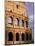 The Colosseum at Sunset, Rome, Lazio, Italy, Europe-Ruth Tomlinson-Mounted Photographic Print