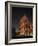 The Colosseum, Rome, Italy-Angelo Cavalli-Framed Photographic Print