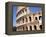 The Colosseum, Rome, Lazio, Italy-Sheila Terry-Framed Premier Image Canvas